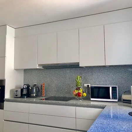 Luxurious Lakeview Apartment Apartment Montreux